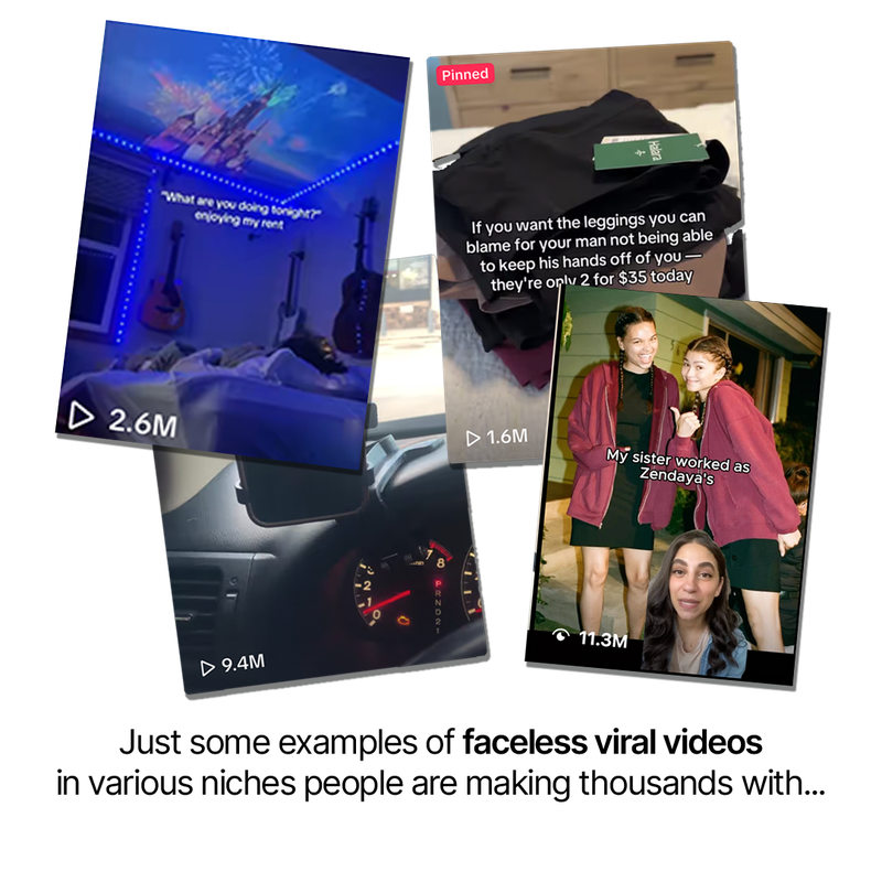 Examples of faceless viral videos in various niches